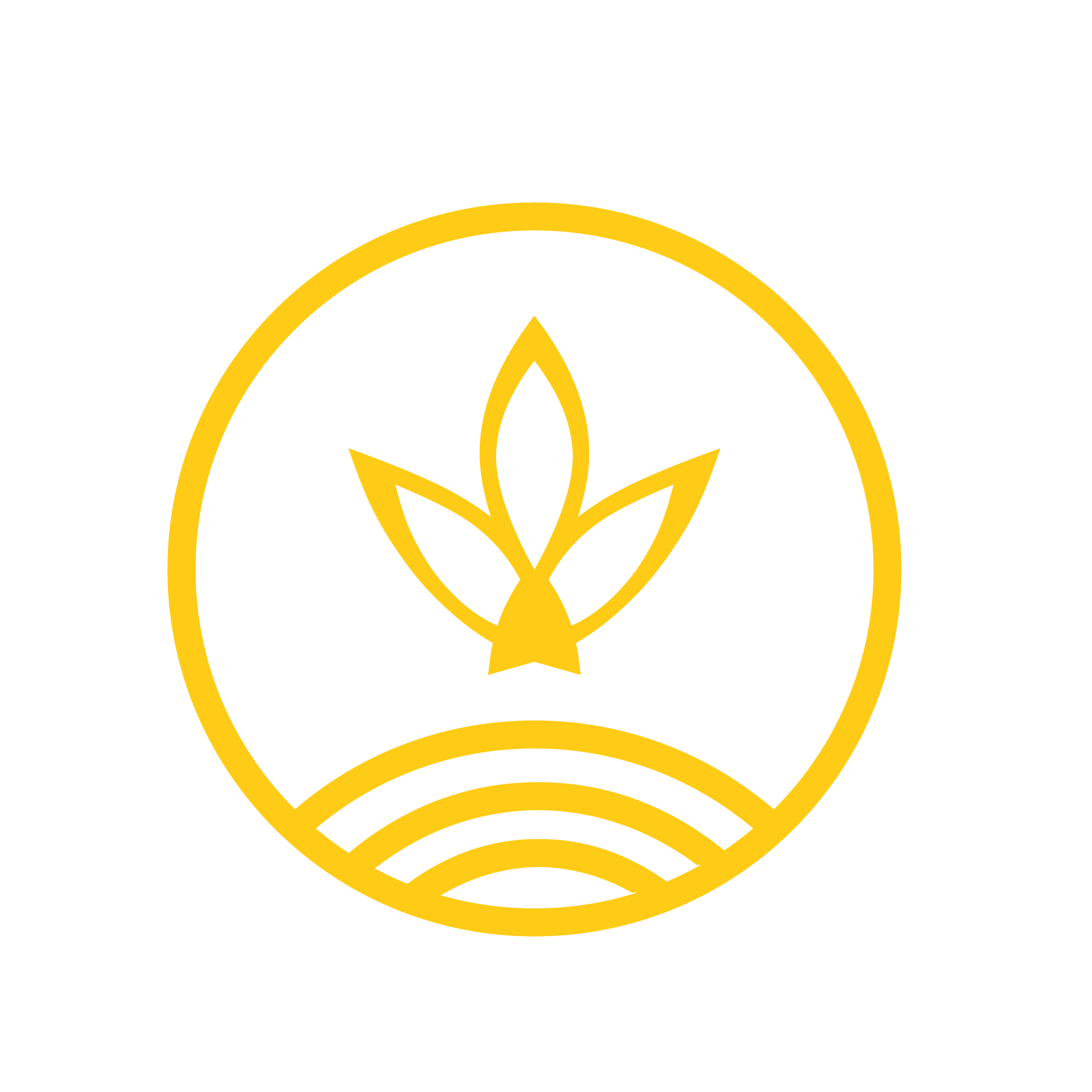 EBALI